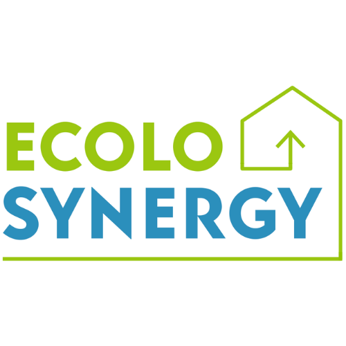 Ecolo Synergy Inc. Logo